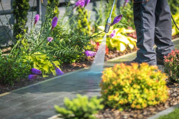 Best Gutter Cleaning  in Yarmouth Port, MA